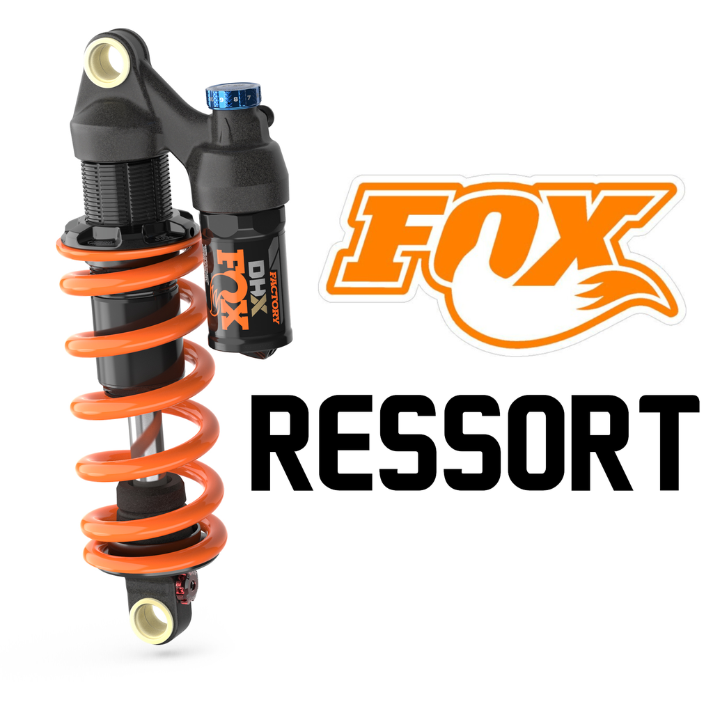 Entretien Amortisseurs Fox (ressort, Oui)